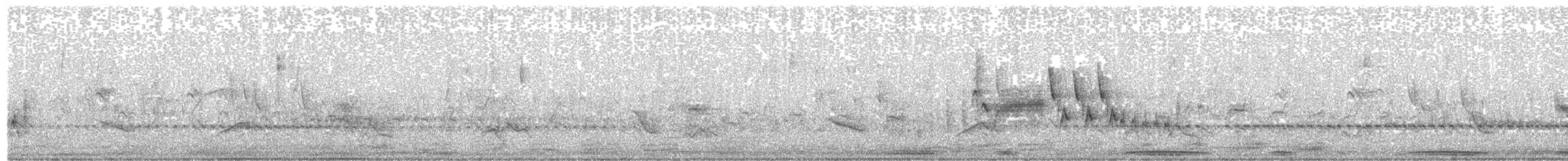 Benekli Notura Tinamusu - ML477501261