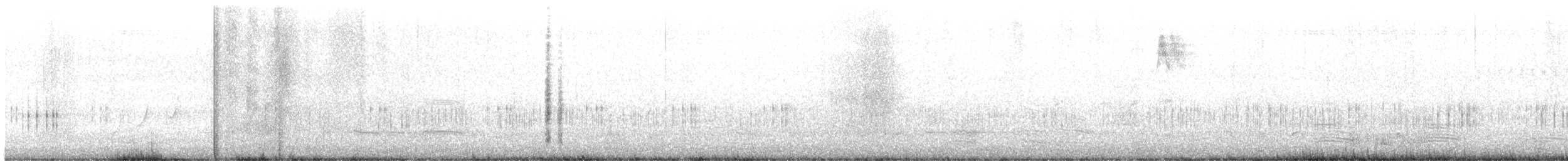Spotless Crake - ML477519051