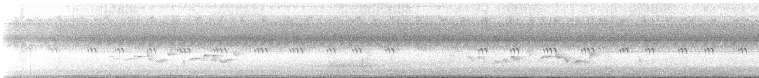 Warbling Vireo - ML477593651