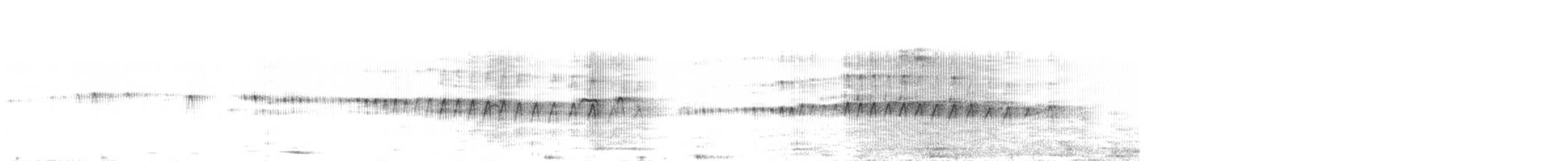 シロハラアマツバメ - ML477625571