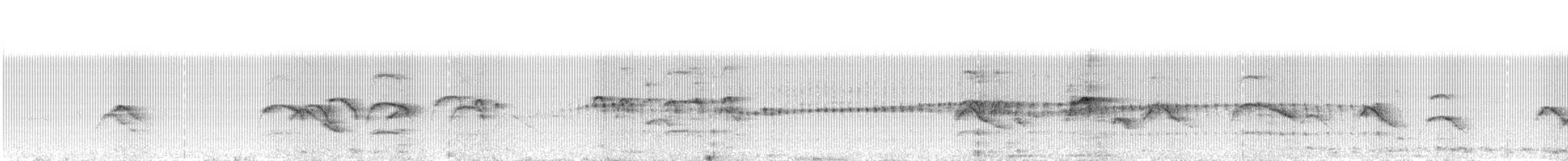 シロハラアマツバメ - ML477625581