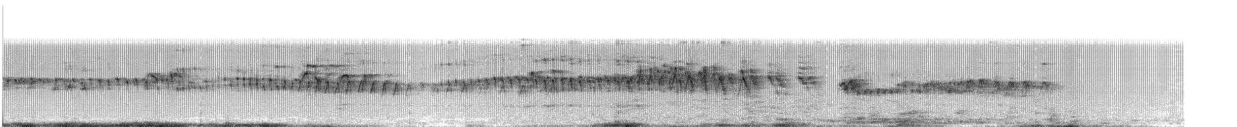 シロハラアマツバメ - ML477625591