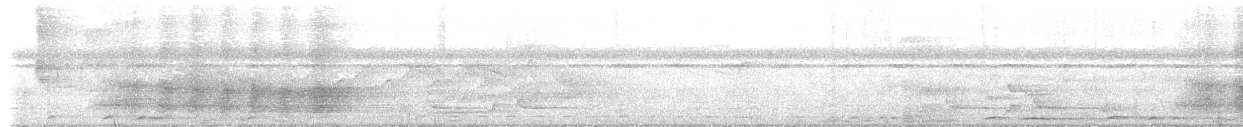 Белокрылая сорока (aterrimus) - ML477664081
