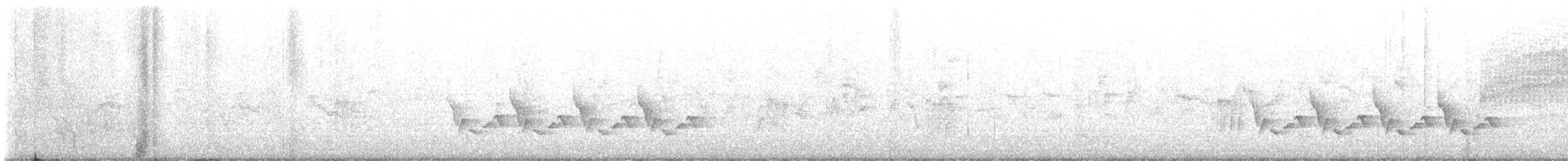 Поплітник каролінський - ML477743981
