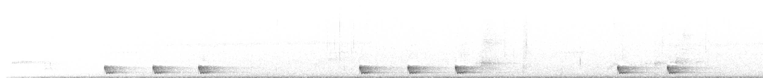 Large-tailed Nightjar - ML477841271