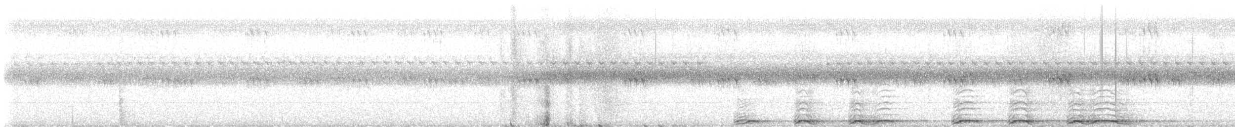 Cárabo Norteamericano - ML477853961