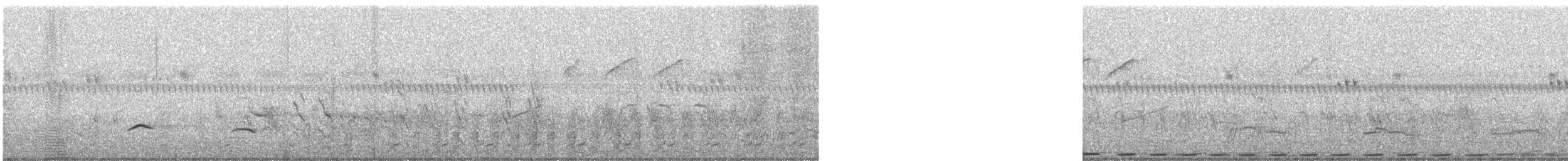 Élanion blanc (caeruleus) - ML477889651