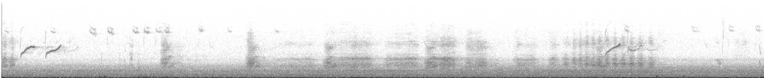 Mésange noire (britannicus/hibernicus) - ML477894931