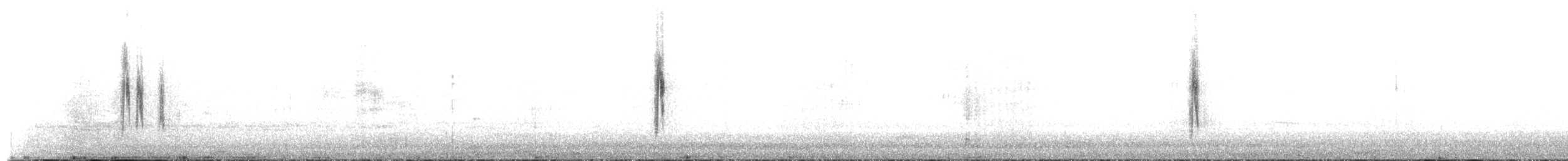 Bergeronnette grise (yarrellii) - ML477895331