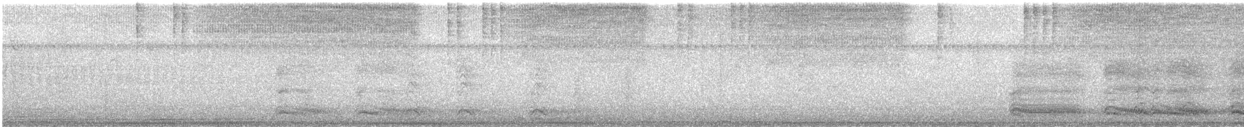 American Crow - ML477954241
