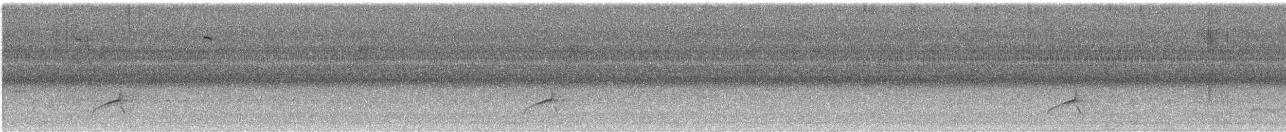 オオヒタキモドキ - ML477969151