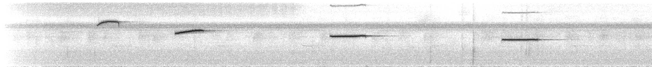 Troglodyte siffleur (taeniatus/occidentalis) - ML47805461