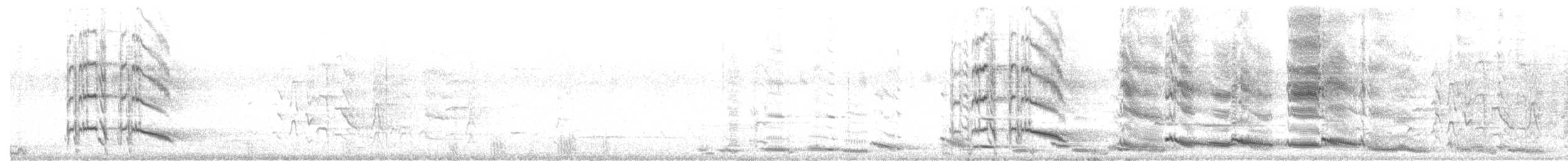 Flötenkrähenstar (dorsalis) - ML478058661