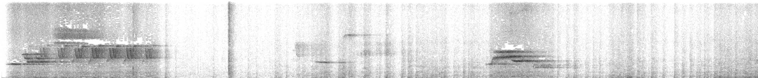 Kentucky Warbler - ML47807501