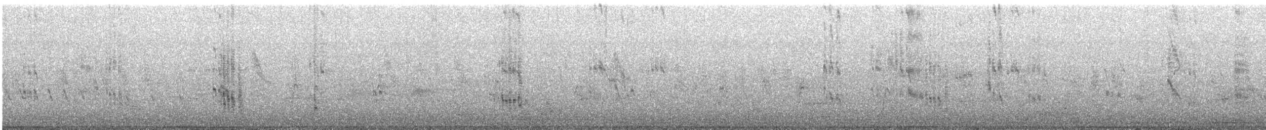 黑腹燕鷗 - ML478140651