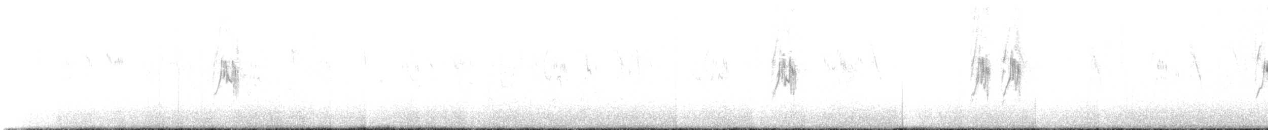 gulerle (cinereocapilla gr.) - ML47815541