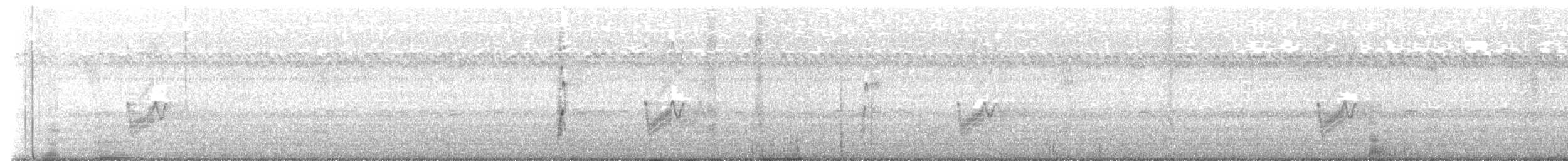 Savannennachtschwalbe - ML478163101
