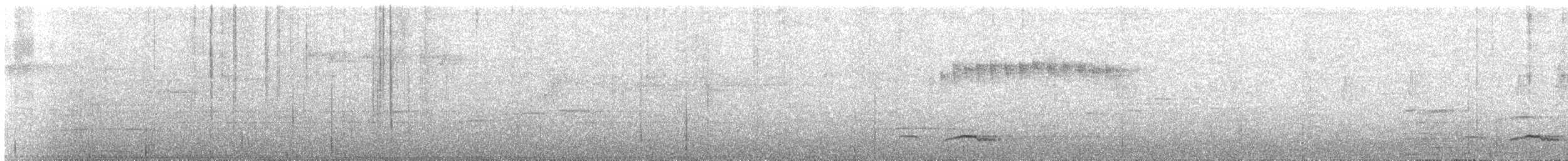Траурная нектарница - ML478179111