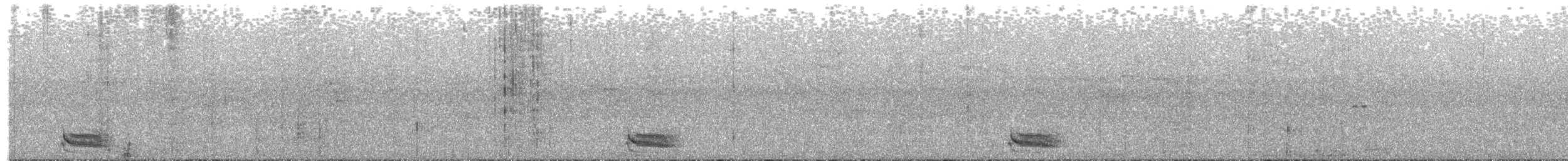 Schwarzweiß-Ameisenwürger - ML478238011