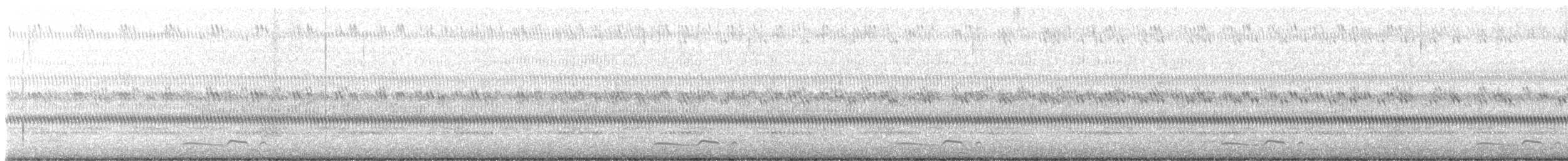 Common Poorwill - ML478250841