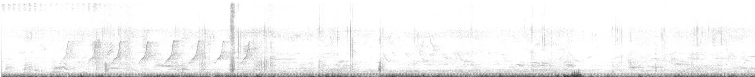 Barred Buttonquail - ML478423411