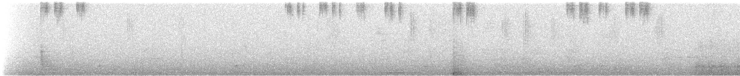 kolibřík černobílý - ML478443651