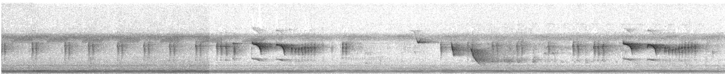 Оринокская мягкохвостка - ML478459291