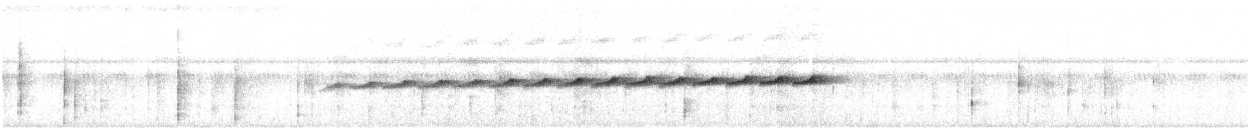 Покривник сірочеревий - ML478495451