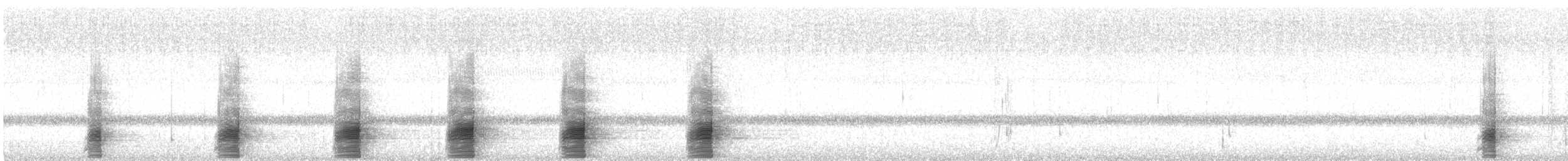 Stockente - ML478515451
