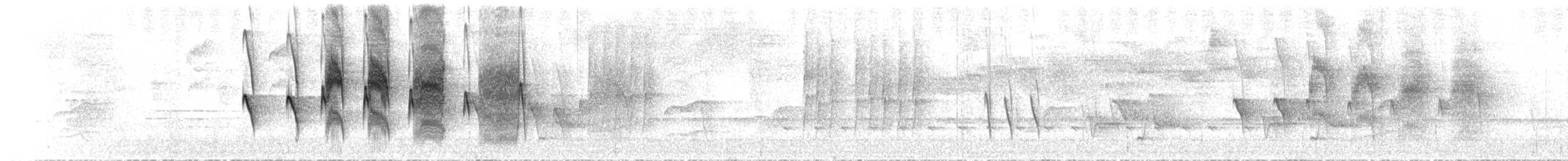 Strichelkopf-Ameisenfänger - ML47869351