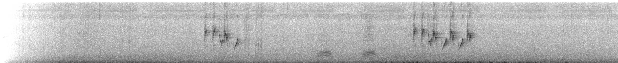 Длинноклювая нектарница - ML478700601