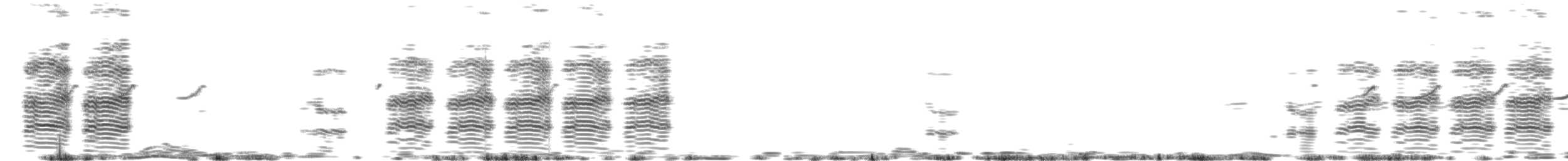 Large Gray Babbler - ML478730581