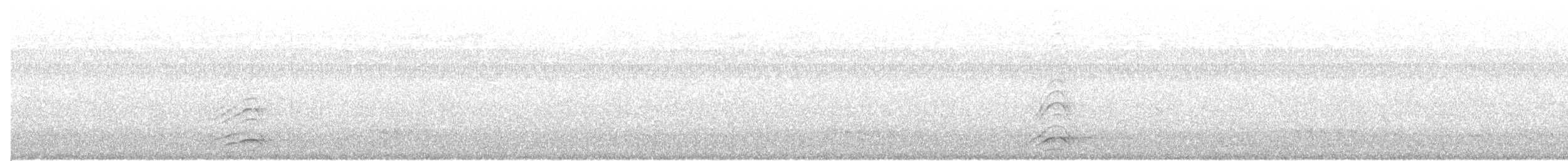Malabar Gray Hornbill - ML478735641