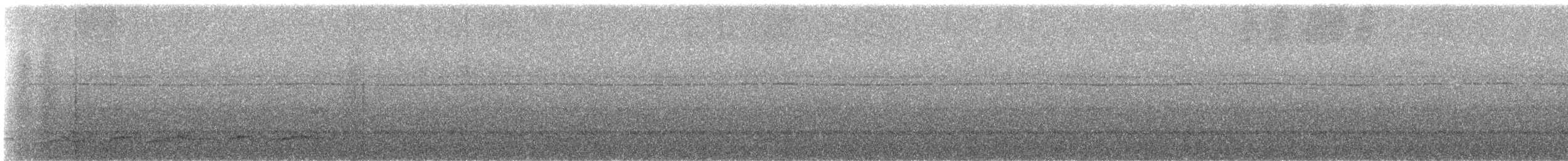 Lyre-tailed Nightjar - ML478740421
