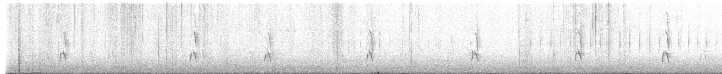 Tyranneau omnicolore - ML478755551