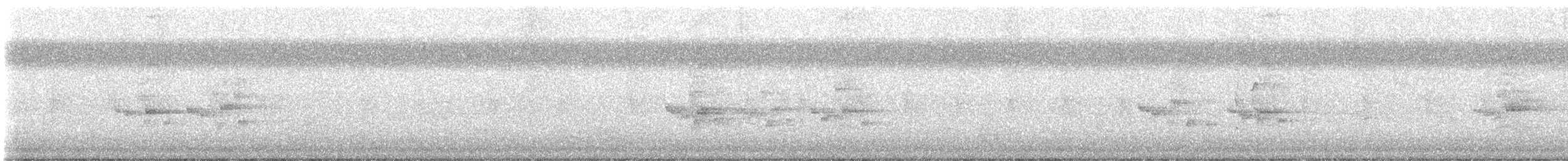 Поплітник каролінський - ML478798061