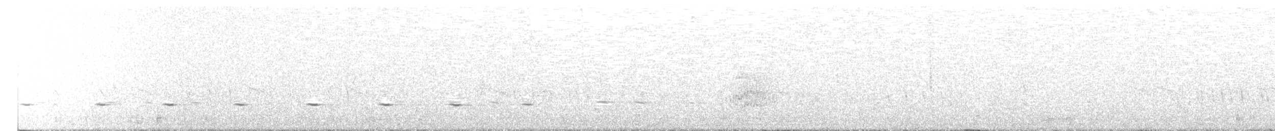 Benekli Notura Tinamusu - ML478809551