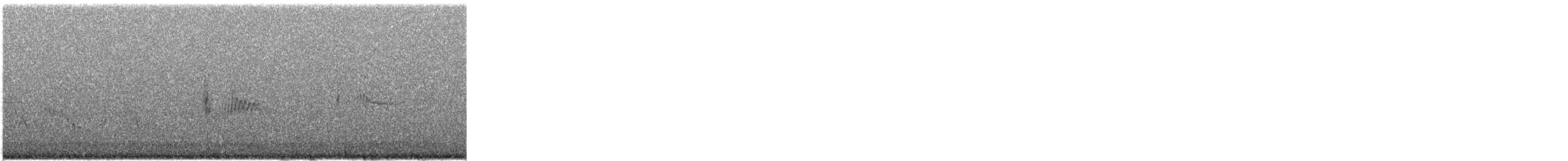 イワミソサザイ - ML478861021