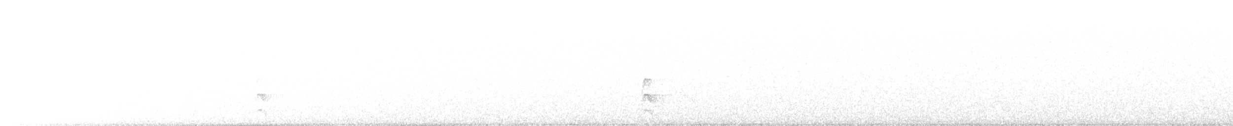 Little Owl - ML478885061