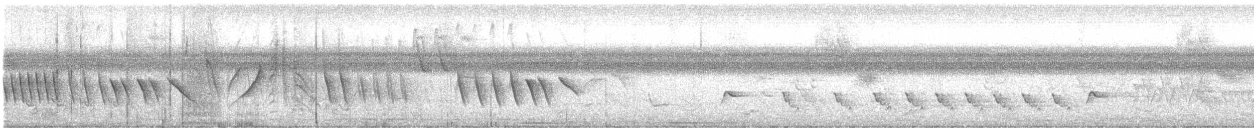 キタホオジロヒメウソ - ML478891921