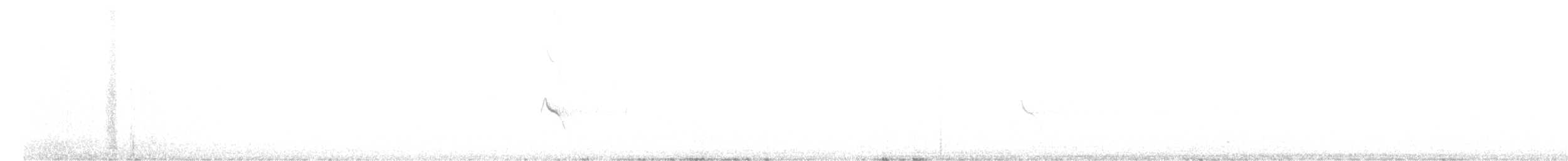 Evening Grosbeak (type 1) - ML478927011