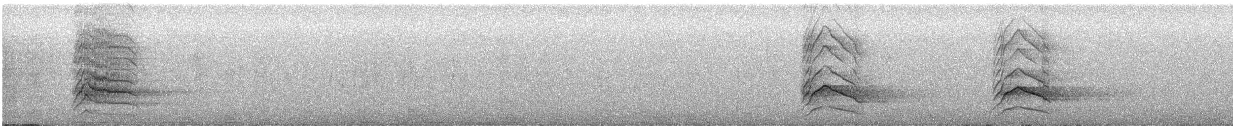 Kanada Kargası (obscurus/griseus) - ML478951111