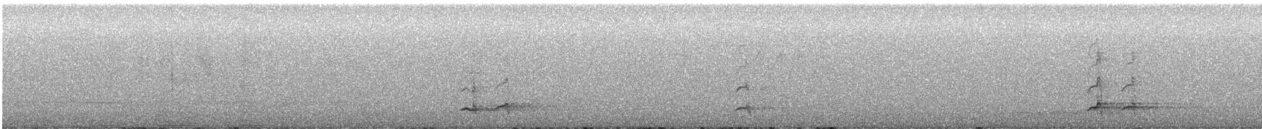 カナダカケス（obscurus／griseus） - ML478951121