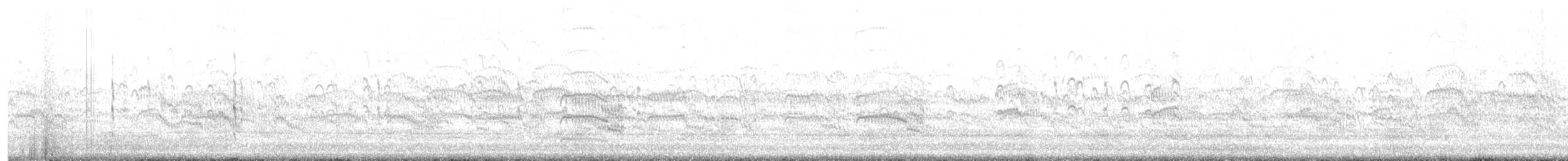 Common Tern - ML478956531