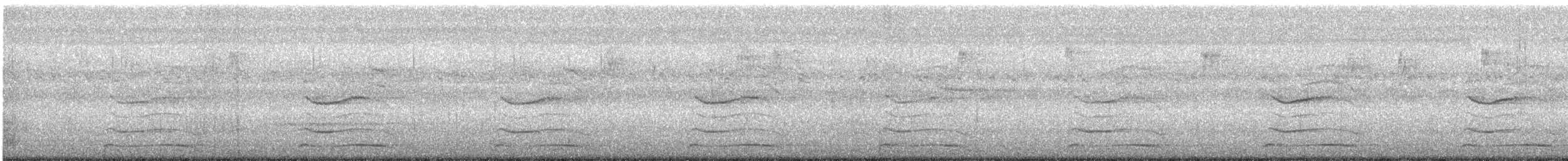 Heulbartvogel - ML479035501