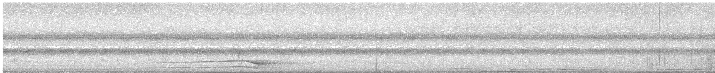 Streifenkauz - ML479161981