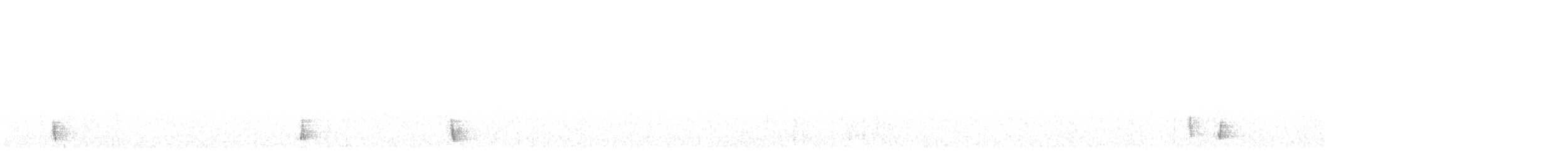 Hermit Thrush - ML479180501