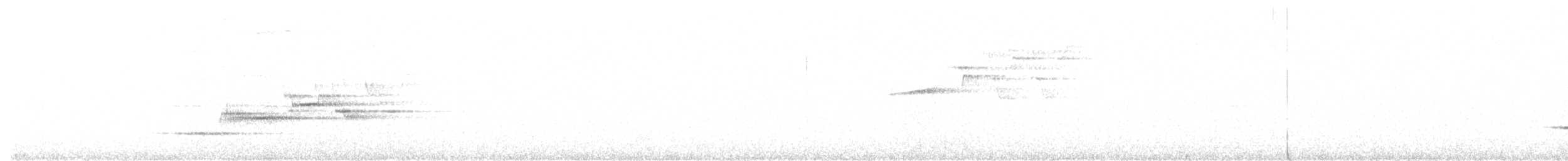 Дрізд-короткодзьоб плямистоволий - ML479183581