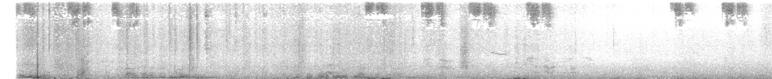 kolibřík černobílý - ML479219991