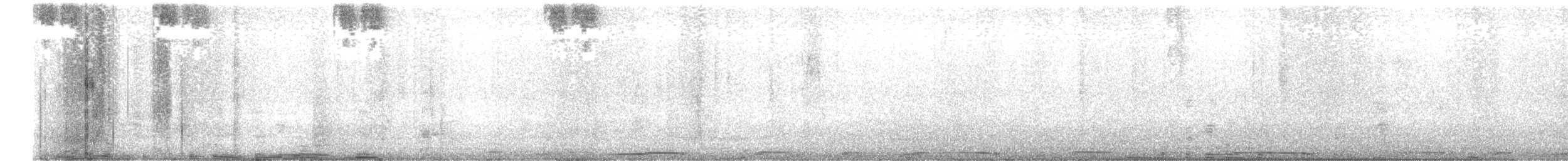 kolibřík černobílý - ML479220581